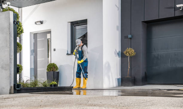 Best Window and Screen Pressure Cleaning in Woodbine, GA